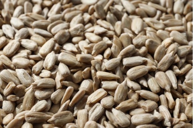 Sunflower kernels